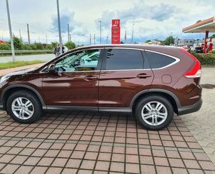 Honda CR-V Gebrauchtwagen