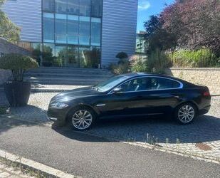 Jaguar XF Gebrauchtwagen