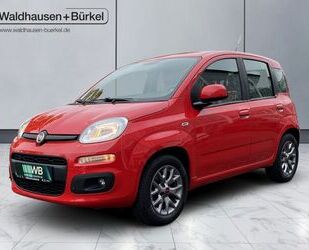 Fiat Panda Gebrauchtwagen