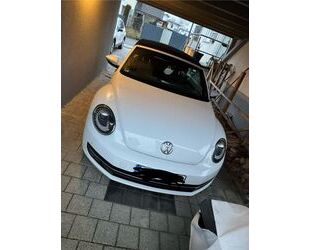VW Beetle Gebrauchtwagen