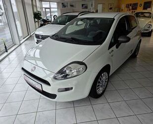 Fiat Punto Gebrauchtwagen