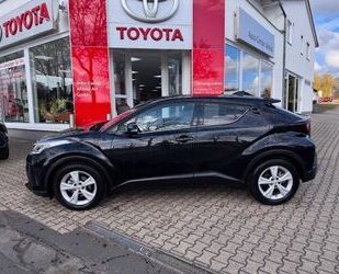 Toyota C-HR Gebrauchtwagen