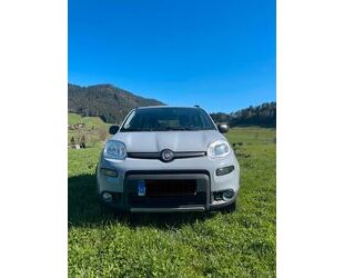 Fiat Panda Gebrauchtwagen