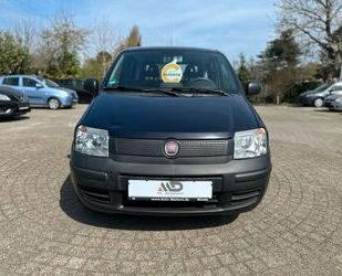 Fiat Panda Gebrauchtwagen