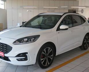 Ford Kuga Gebrauchtwagen