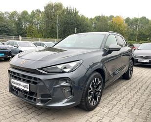 Cupra Terramar Gebrauchtwagen