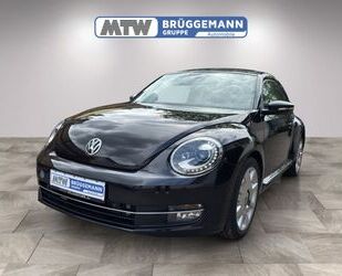 VW Beetle Gebrauchtwagen