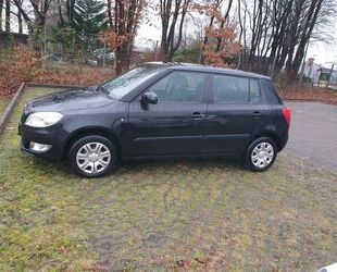 Skoda Fabia Gebrauchtwagen