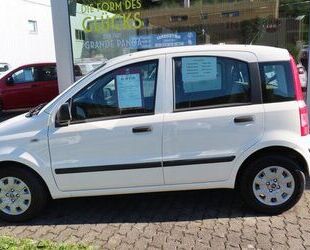 Fiat Panda Gebrauchtwagen