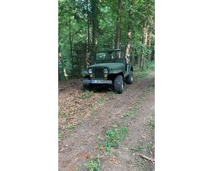 Jeep Willys Gebrauchtwagen