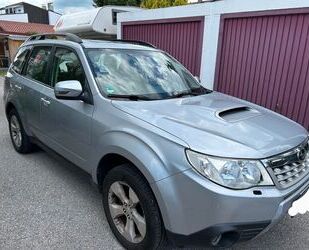 Subaru Forester Gebrauchtwagen