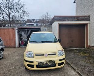 Fiat Panda Gebrauchtwagen