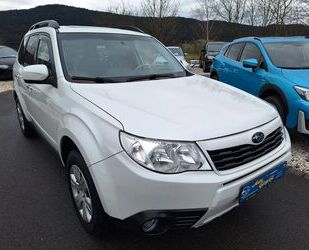 Subaru Forester Gebrauchtwagen