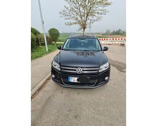 VW Tiguan Gebrauchtwagen