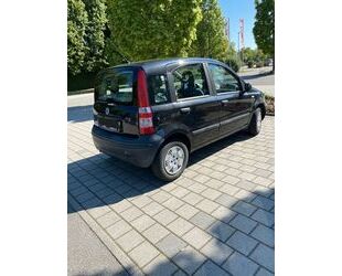 Fiat Panda Gebrauchtwagen
