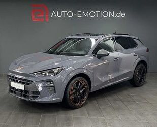 Cupra Terramar Gebrauchtwagen