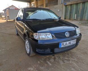 VW Polo Gebrauchtwagen