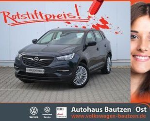 Opel Grandland (X) Gebrauchtwagen