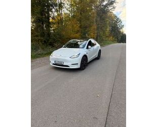 VW Model Y 
