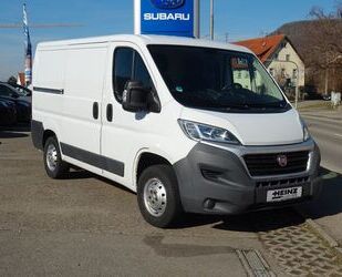 Fiat Ducato Gebrauchtwagen