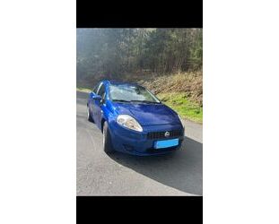 Fiat Punto Gebrauchtwagen