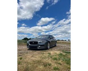 Hyundai XE 