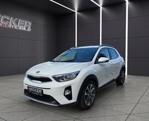 Kia Stonic Gebrauchtwagen