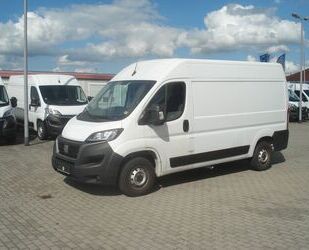Fiat Ducato Gebrauchtwagen