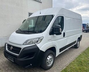 Audi Ducato 