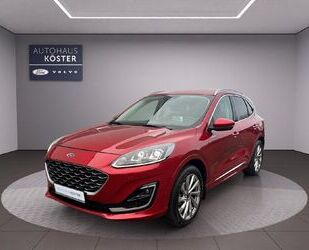 Ford Kuga Gebrauchtwagen