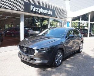 Mazda CX-30 Gebrauchtwagen