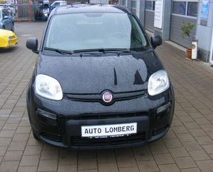 Fiat Panda Gebrauchtwagen