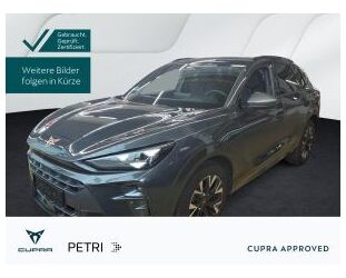 Cupra Terramar Gebrauchtwagen