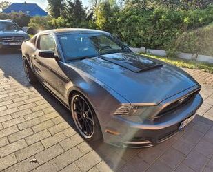 Ford Mustang Gebrauchtwagen