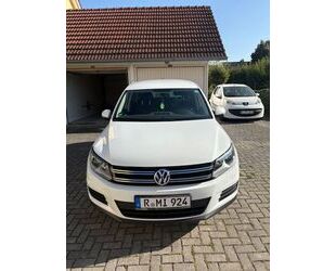 VW Tiguan Gebrauchtwagen