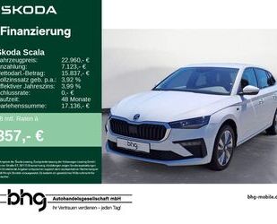 Skoda Scala Gebrauchtwagen