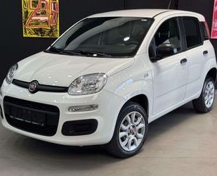 Fiat Panda Gebrauchtwagen