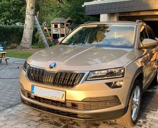 Skoda Karoq Gebrauchtwagen