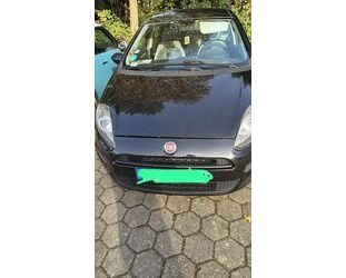 Fiat Punto Gebrauchtwagen