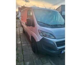 Fiat Ducato Gebrauchtwagen