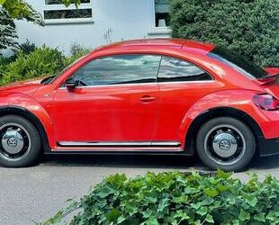 VW Beetle Gebrauchtwagen