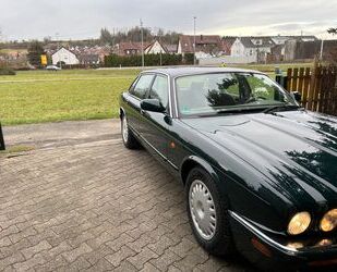 Jaguar XJ8 Gebrauchtwagen