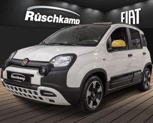 Fiat Panda Gebrauchtwagen