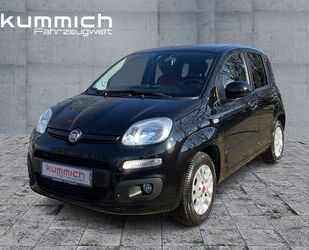 Fiat Panda Gebrauchtwagen