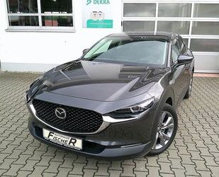 Audi CX-30 