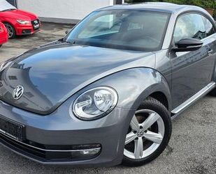 VW Beetle Gebrauchtwagen