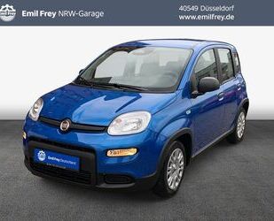 Fiat Panda Gebrauchtwagen