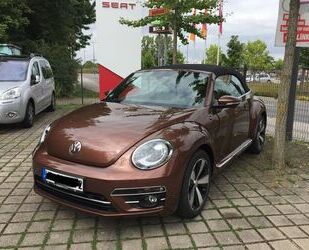 Skoda Beetle 