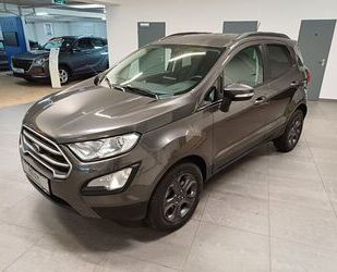 Ford EcoSport Gebrauchtwagen