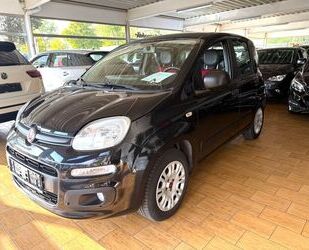 Fiat Panda Gebrauchtwagen